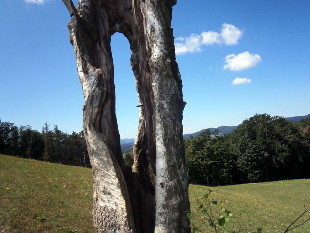 P7260046