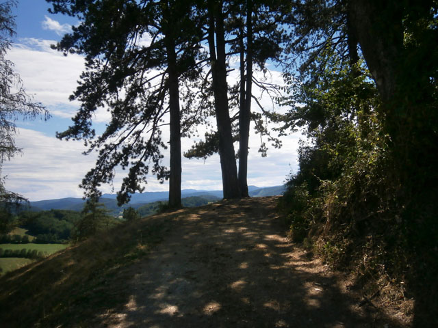 P7260055