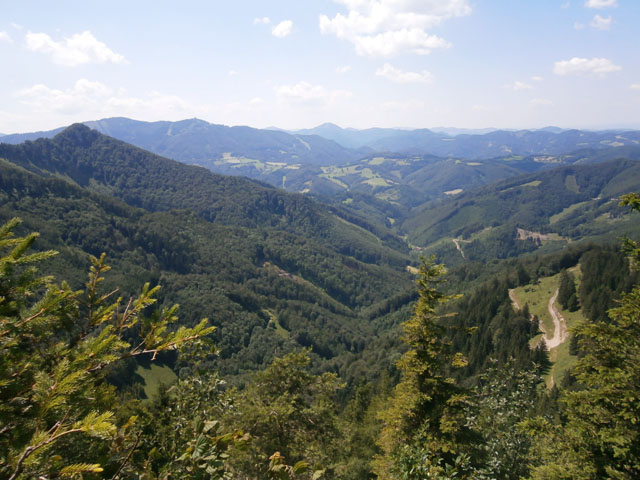 P7070177