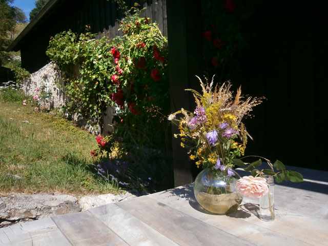 P7080205