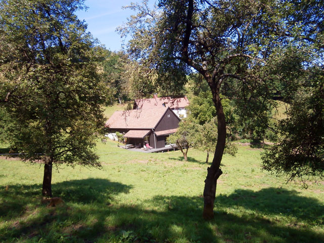 P7080207
