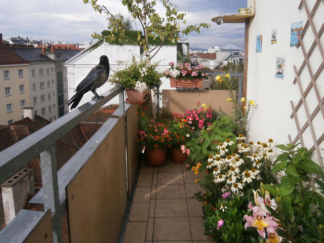 P7130003