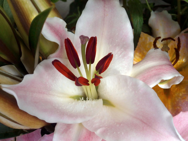 P7130005