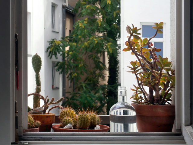 P7170048