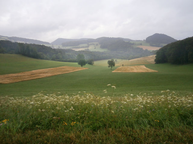 P7170054