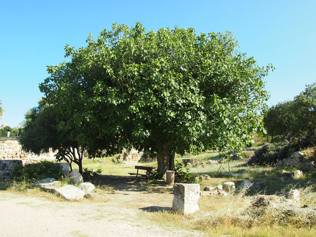 P7046780