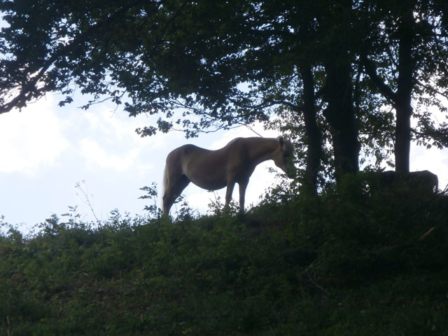 P7160011