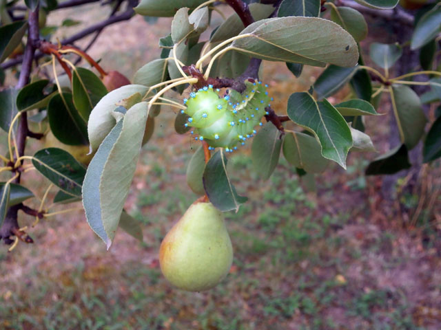 P7190020