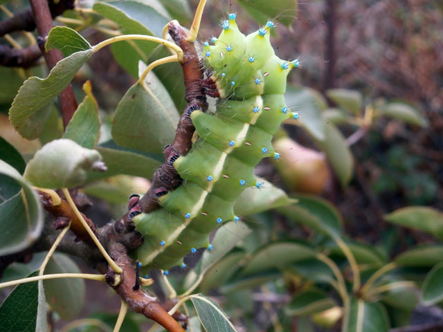 P7190021
