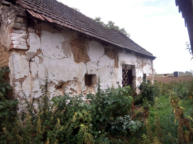 P7240007