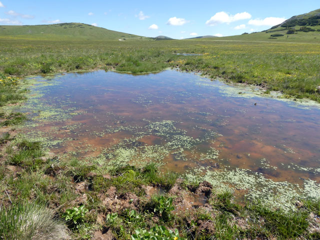 P1006441