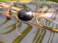 IMG_5132