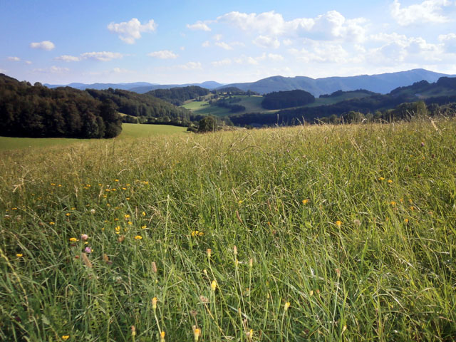 P8070039
