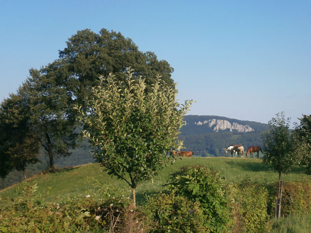 P8070040