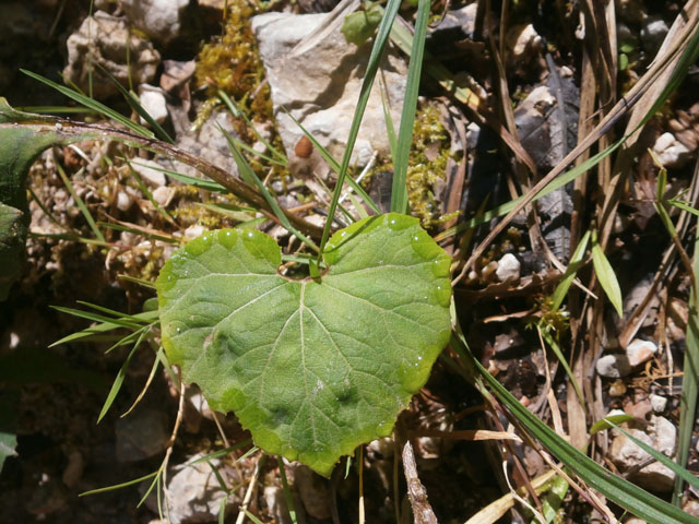 P8120084