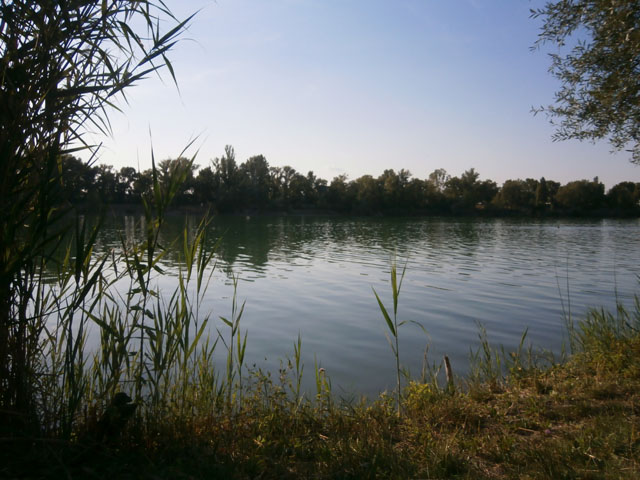 P8120115d