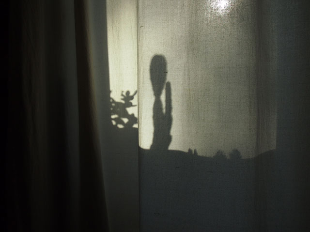 P8120115w
