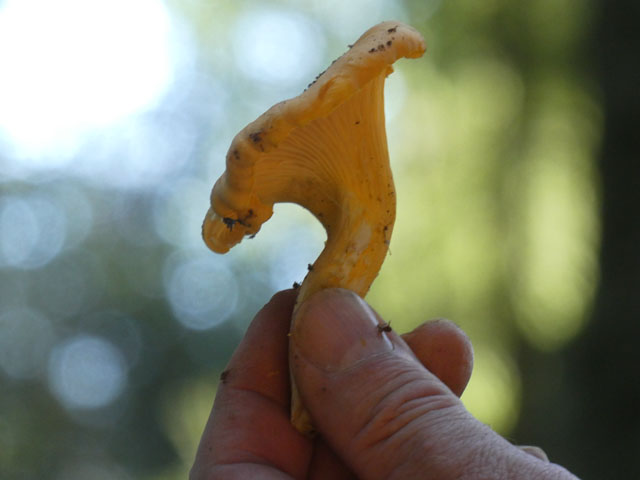 P1007355