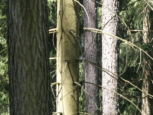 P1007369