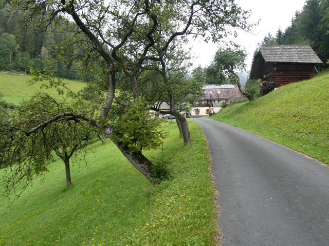 P1007466