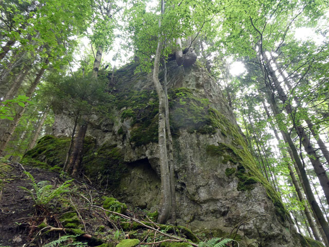 P1007510