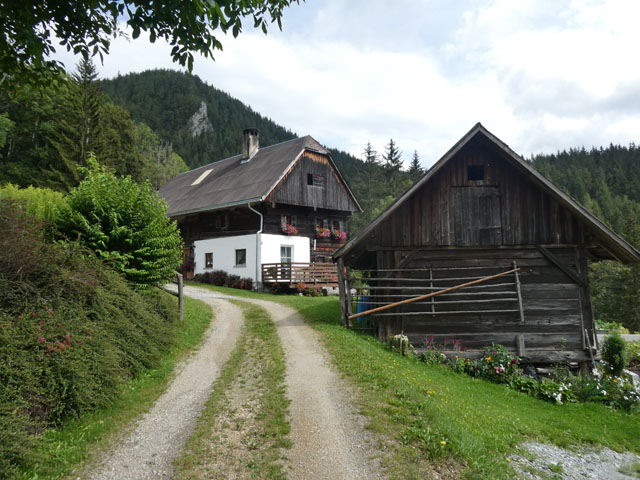 P1007511