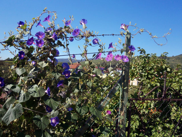 P9040039