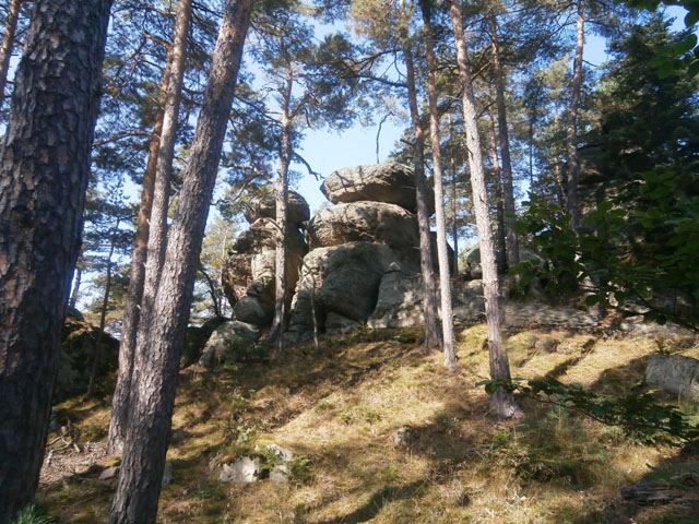 P9120096