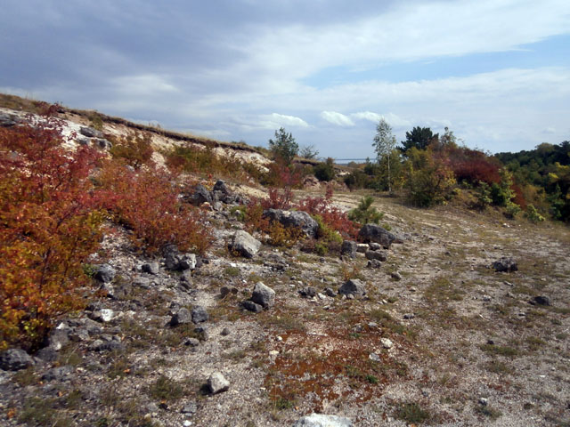 P9100030