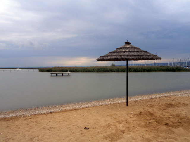P9100038
