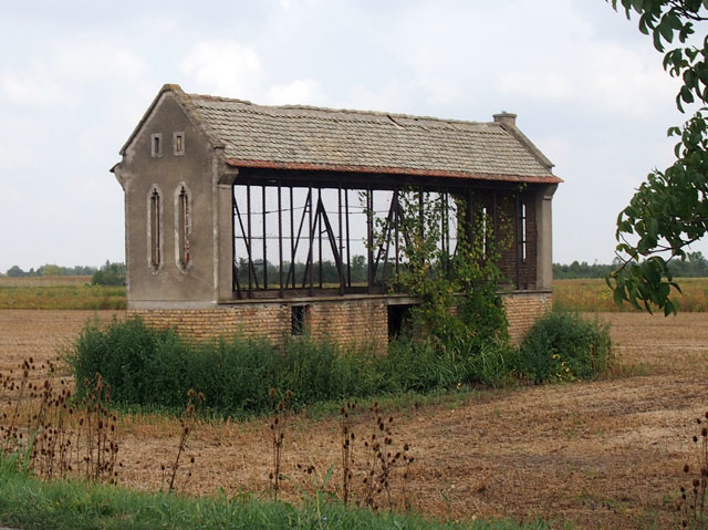 P9060454_Banat