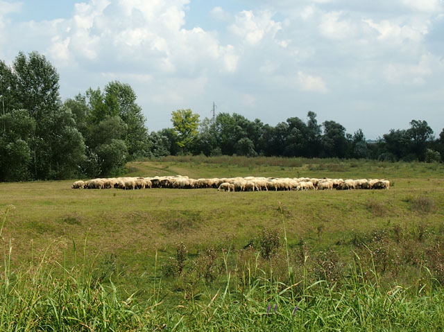 P9060468