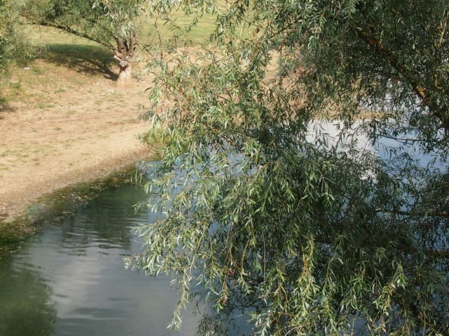 P9060470