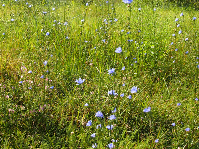 P9090580