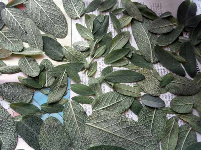 P9150039