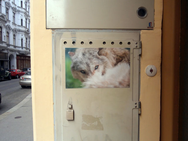 P9150055