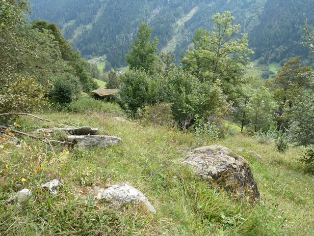 P1007872
