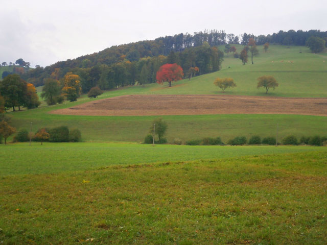 PA110017