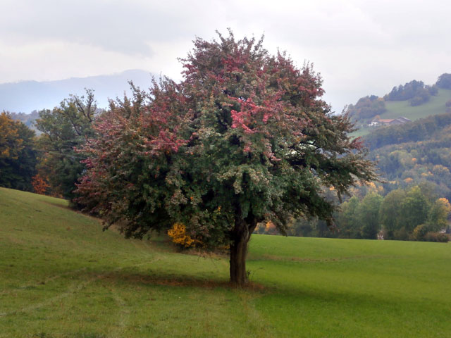 PA110020