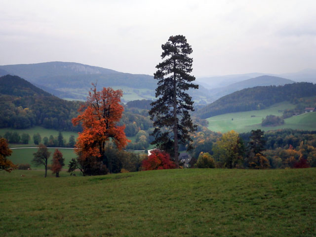 PA110025