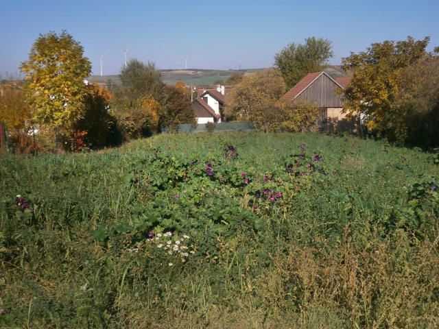 PA240034