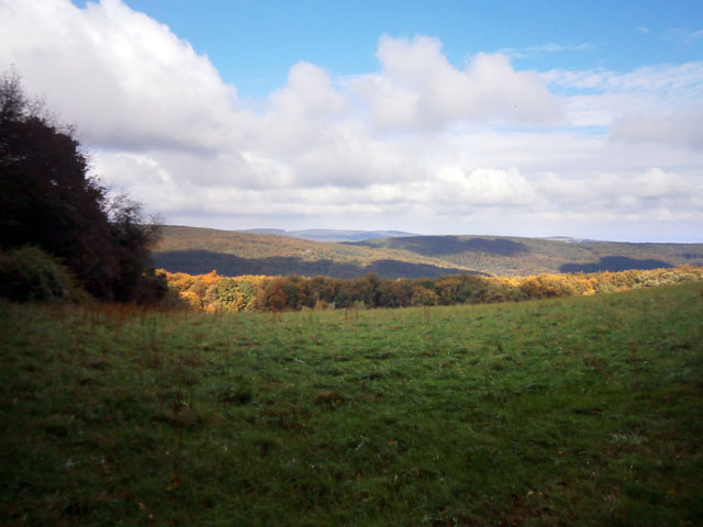 PA090038