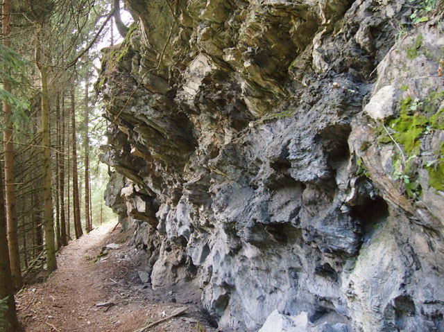 PA067075