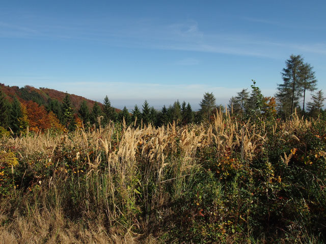PA157733
