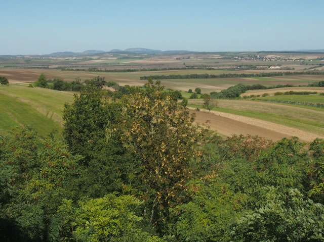 P9300671