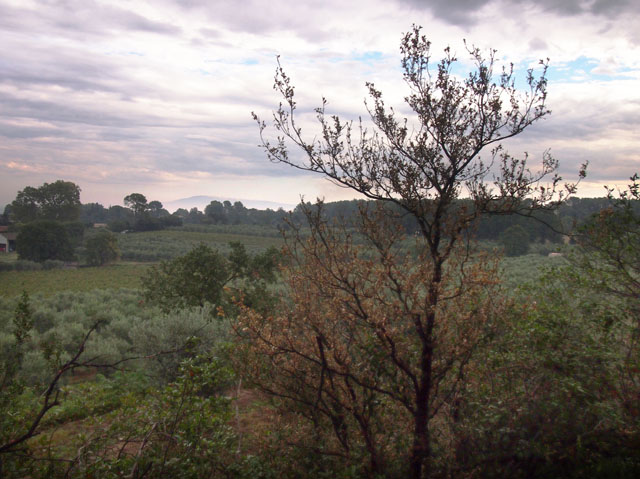 PA091428