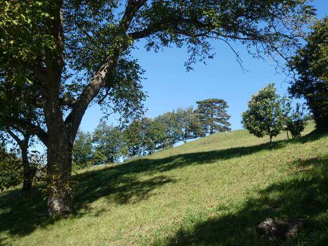 P1008268