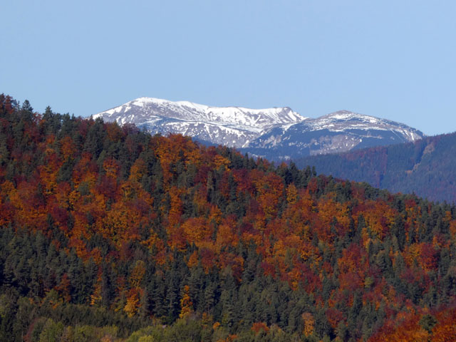 P1008478