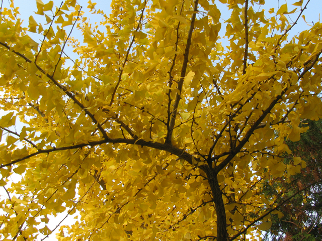 09112011 (1)