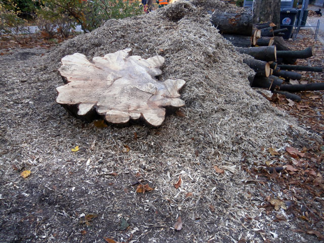 PB050003